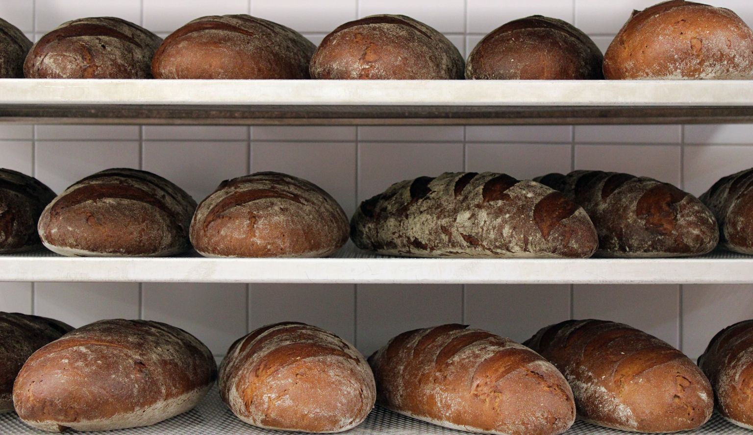 JSA Regis-Breitingen - Bäckerei - Brot