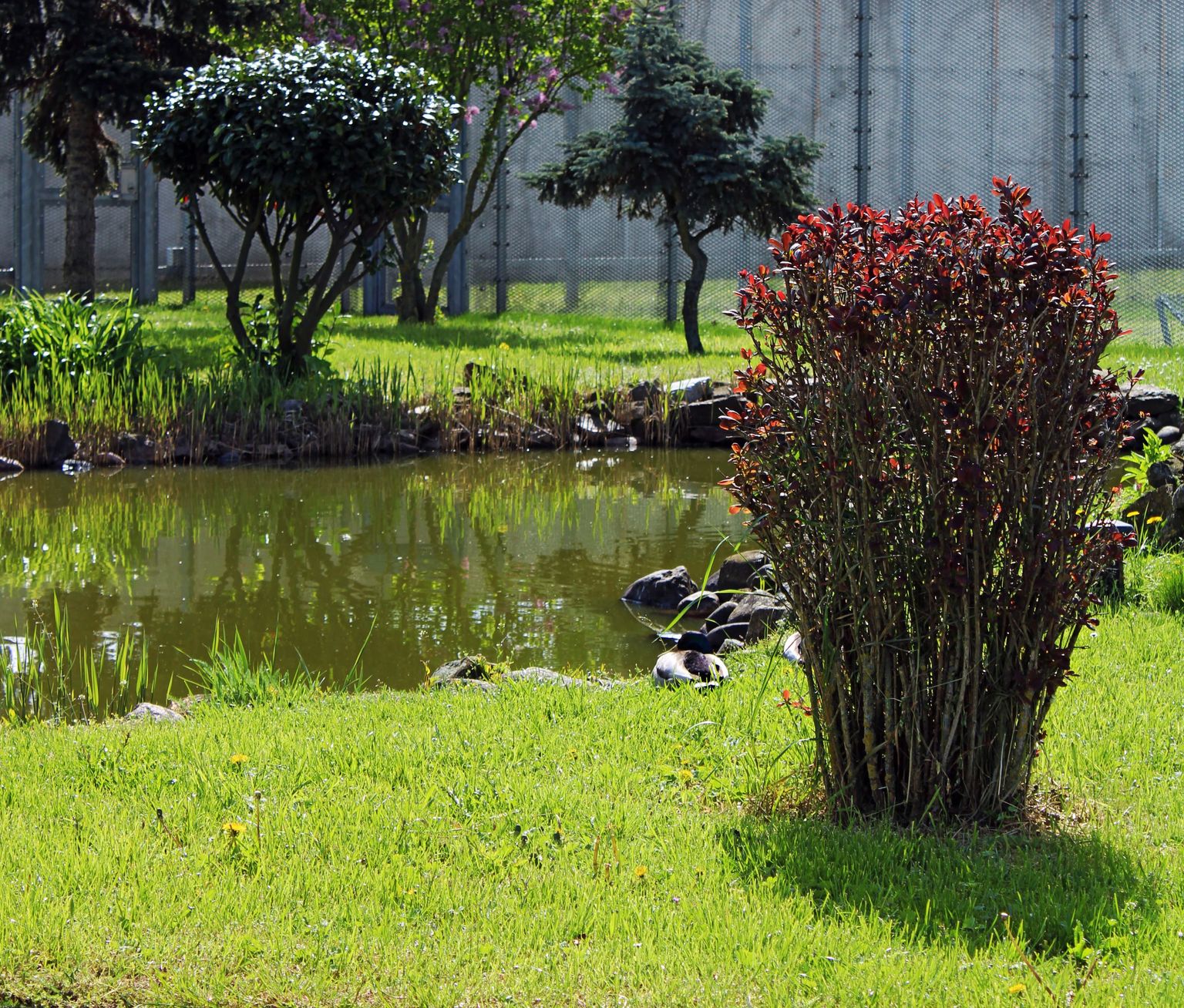 JVA Zeithain - Garten- und Landschaftsbau - Grünanlagenpflege